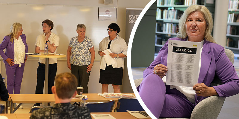 Ann-Charlotte Gavelin Rydman och seminarium under Almedalen 2024.