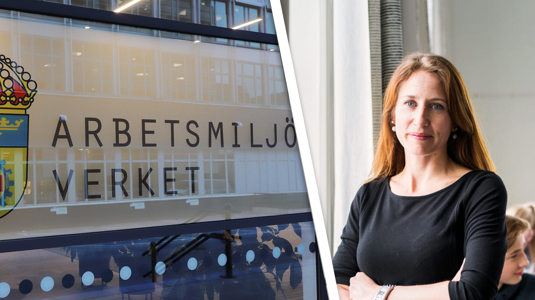 Annicka Schmidt, Arbetsmiljöverket. Foto: Adobe Stock/Arbetsmiljöverket