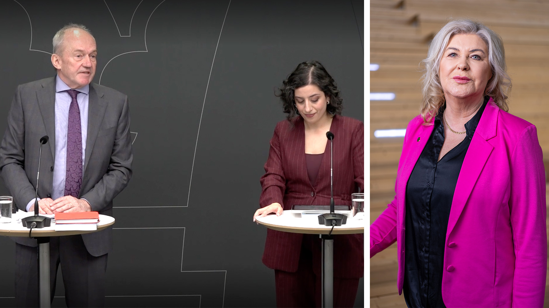 Joakim Stymne, Simona Mohamsson, Ann-Charlotte Gavelin Rydman. Foto: Skärmbild/regeringen.se/Ola Westerberg