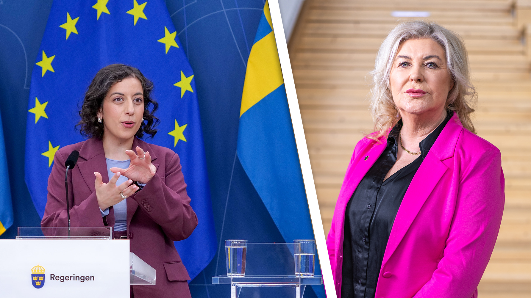 Simona Mohamsson (L), Ann-Charlotte Gavelin Rydman. Foto: Viktor Strömwall/Regeringskansliet/Ola Westerberg